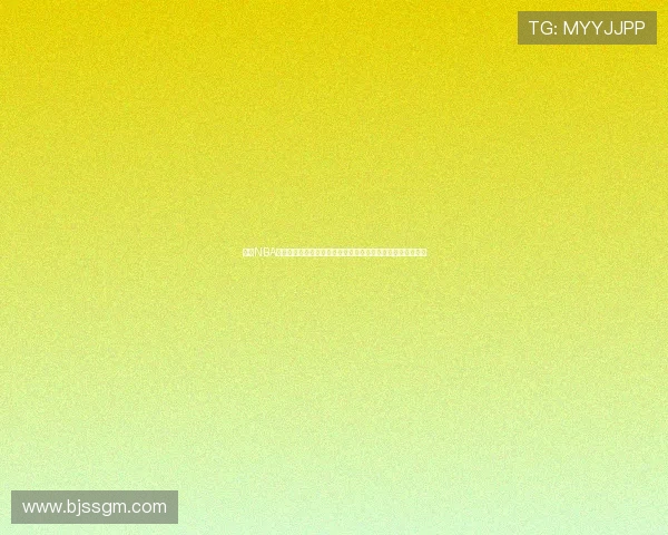 全新NBA看球直播软件推荐畅享高清赛事互动体验与球迷实时交流分析